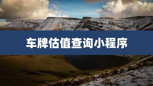 车牌估值查询小程序