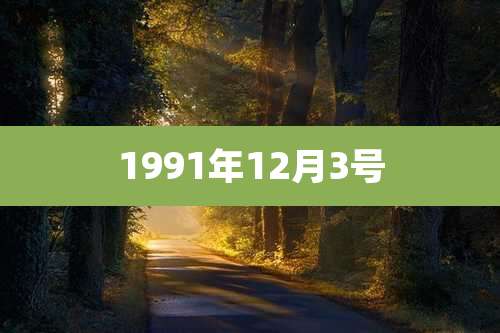 1991年12月3号