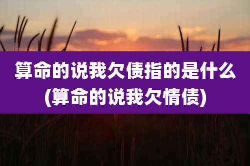 算命的说我欠债指的是什么(算命的说我欠情债)