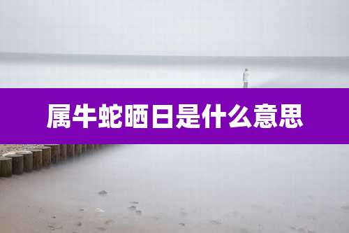 属牛蛇晒日是什么意思