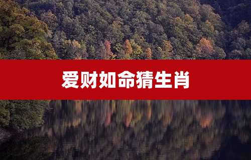 爱财如命猜生肖