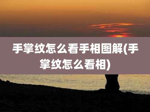 手掌纹怎么看手相图解(手掌纹怎么看相)