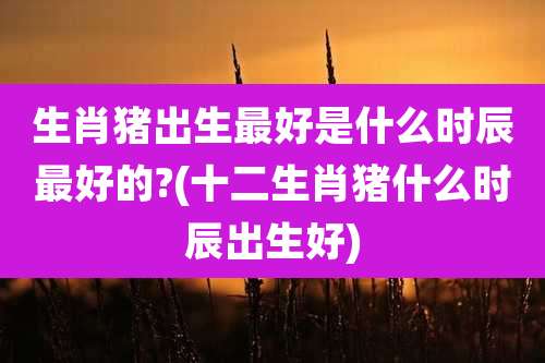 生肖猪出生最好是什么时辰最好的?(十二生肖猪什么时辰出生好)