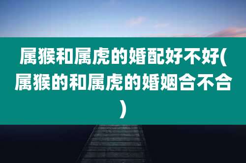 属猴和属虎的婚配好不好(属猴的和属虎的婚姻合不合)
