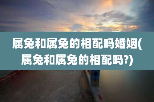 属兔和属兔的相配吗婚姻(属兔和属兔的相配吗?)