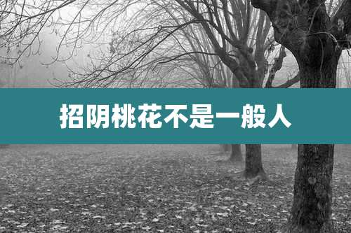 招阴桃花不是一般人