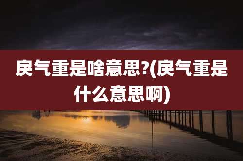 戾气重是啥意思?(戾气重是什么意思啊)