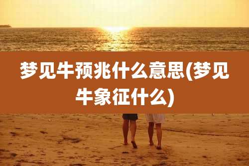 梦见牛预兆什么意思(梦见牛象征什么)