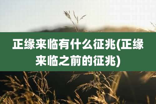 正缘来临有什么征兆(正缘来临之前的征兆)