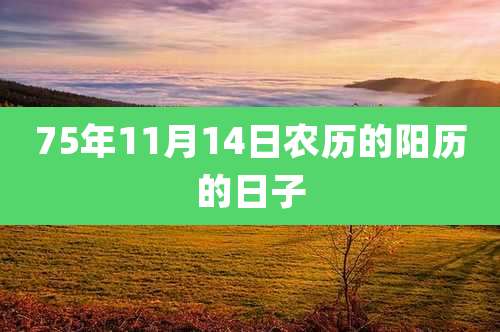 75年11月14日农历的阳历的日子