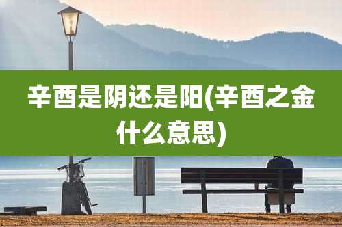 辛酉是阴还是阳(辛酉之金什么意思)