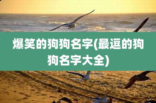 爆笑的狗狗名字(最逗的狗狗名字大全)