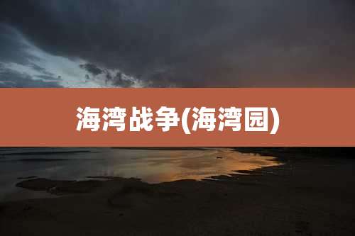 海湾战争(海湾园)
