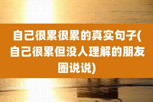 自己很累很累的真实句子(自己很累但没人理解的朋友圈说说)