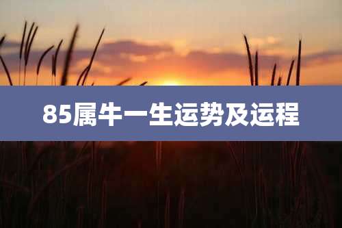 85属牛一生运势及运程