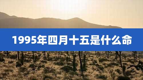 1995年四月十五是什么命
