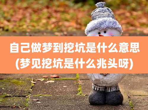 自己做梦到挖坑是什么意思(梦见挖坑是什么兆头呀)