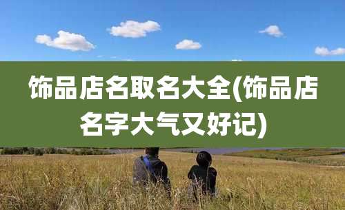 饰品店名取名大全(饰品店名字大气又好记)