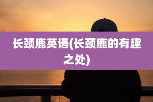 长颈鹿英语(长颈鹿的有趣之处)