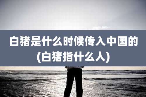 白猪是什么时候传入中国的(白猪指什么人)