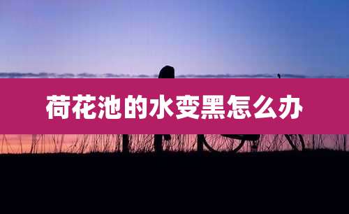 荷花池的水变黑怎么办