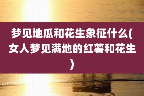 梦见地瓜和花生象征什么(女人梦见满地的红薯和花生)