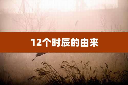 12个时辰的由来