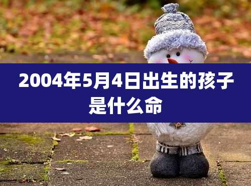 2004年5月4日出生的孩子是什么命