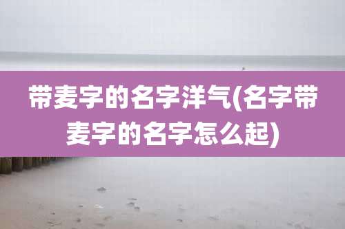 带麦字的名字洋气(名字带麦字的名字怎么起)