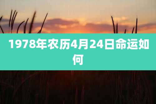 1978年农历4月24日命运如何