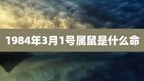 1984年3月1号属鼠是什么命