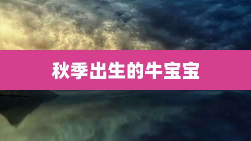 秋季出生的牛宝宝