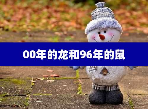 00年的龙和96年的鼠