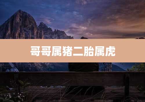 哥哥属猪二胎属虎