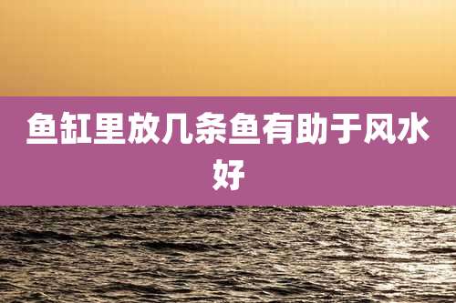 鱼缸里放几条鱼有助于风水好