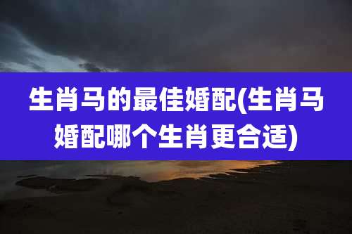 生肖马的最佳婚配(生肖马婚配哪个生肖更合适)