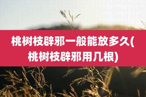 桃树枝辟邪一般能放多久(桃树枝辟邪用几根)