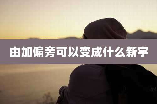 由加偏旁可以变成什么新字