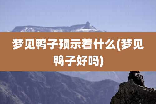 梦见鸭子预示着什么(梦见鸭子好吗)