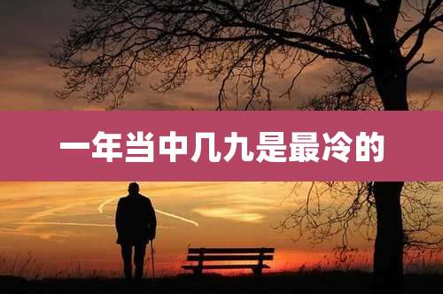 一年当中几九是最冷的