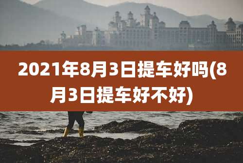 2021年8月3日提车好吗(8月3日提车好不好)