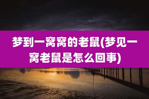梦到一窝窝的老鼠(梦见一窝老鼠是怎么回事)