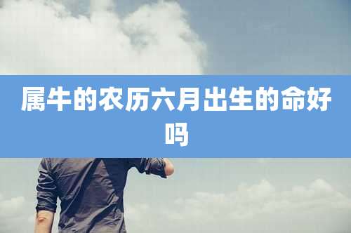 属牛的农历六月出生的命好吗