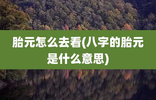 胎元怎么去看(八字的胎元是什么意思)