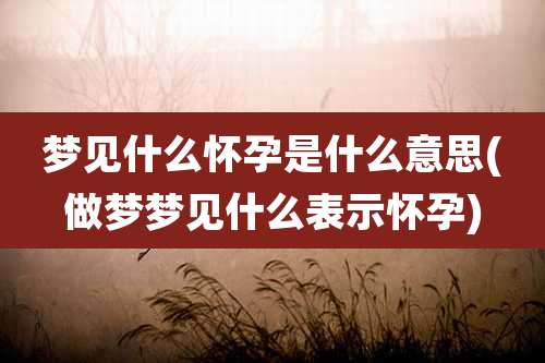 梦见什么怀孕是什么意思(做梦梦见什么表示怀孕)