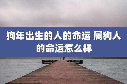狗年出生的人的命运 属狗人的命运怎么样