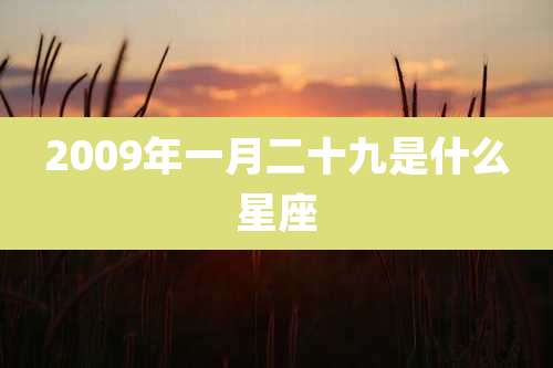 2009年一月二十九是什么星座