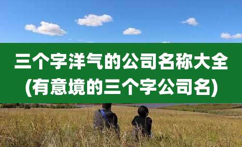 三个字洋气的公司名称大全(有意境的三个字公司名)