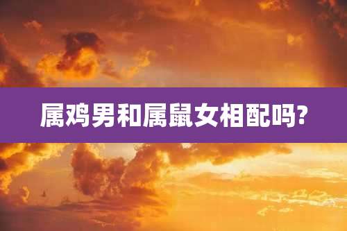 属鸡男和属鼠女相配吗?