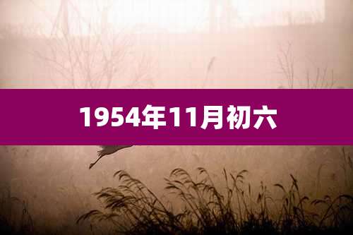 1954年11月初六